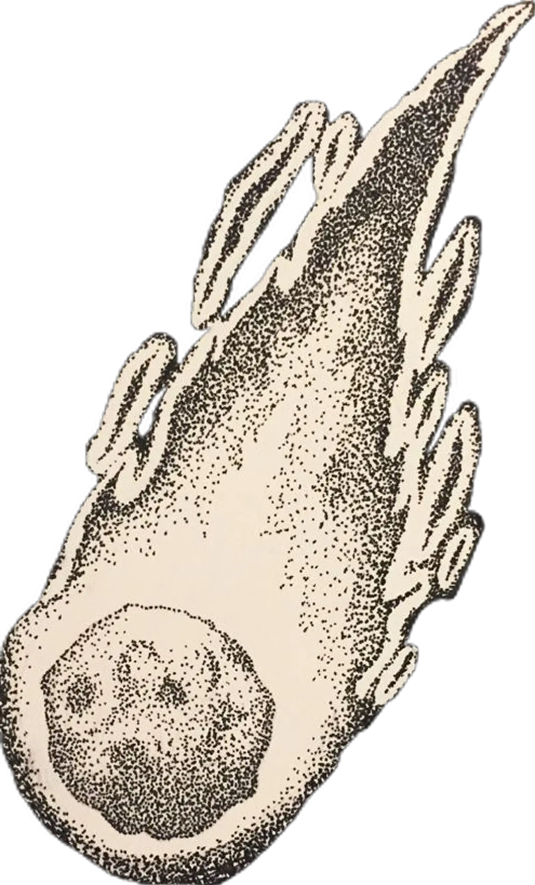 illustration d'une comète