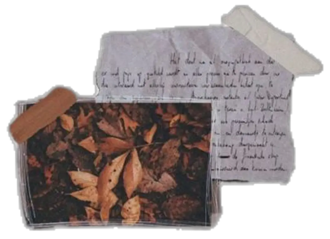 cartes postales vintages