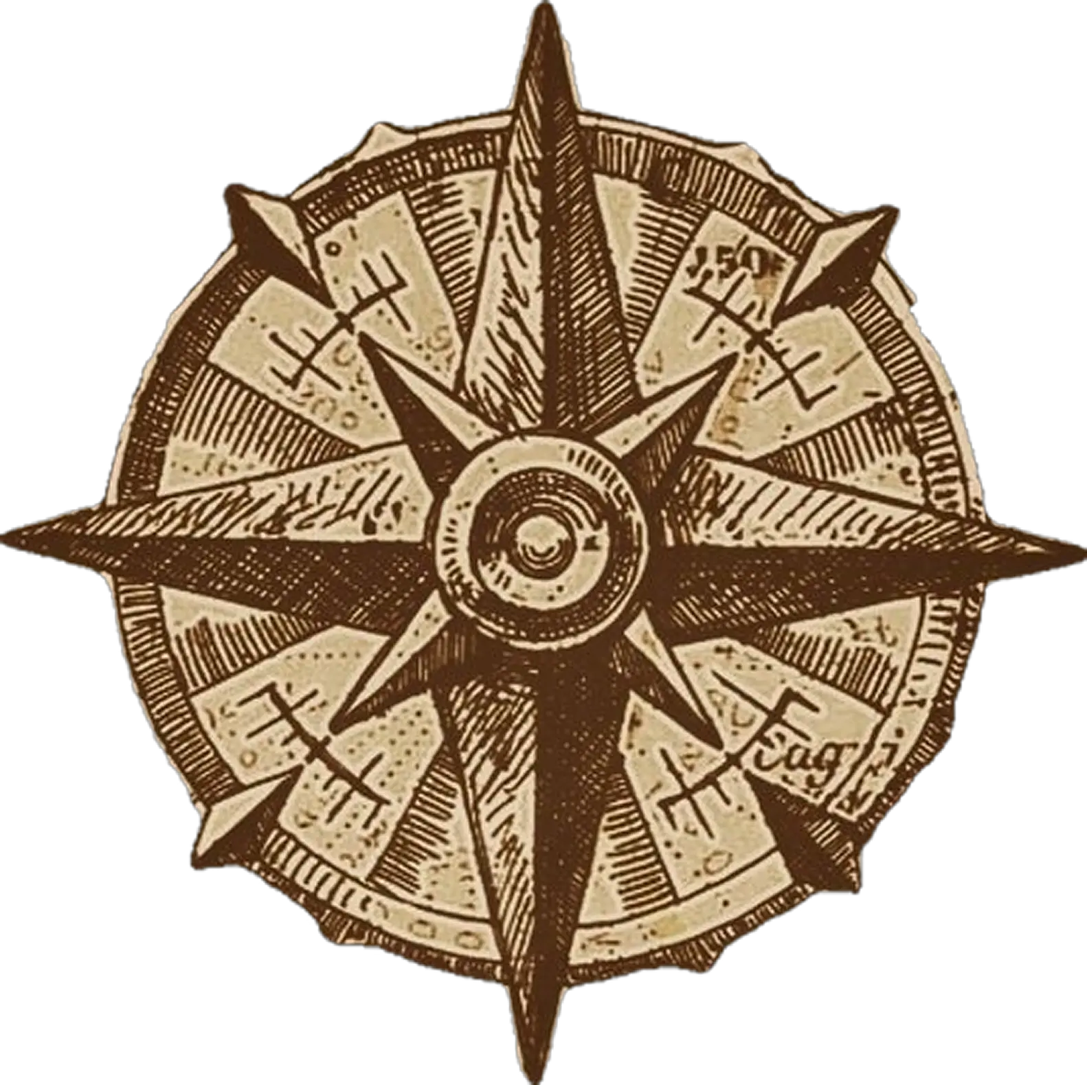 vieille rose des vents