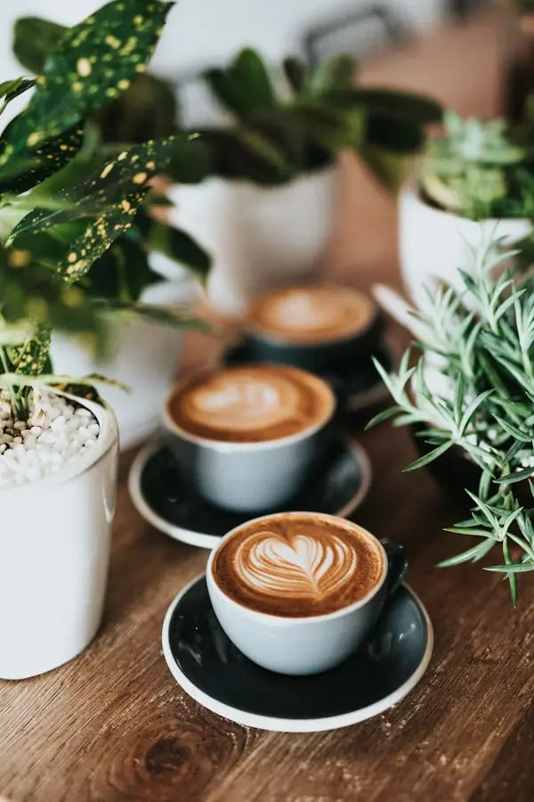 Éthiopie Yirgacheffe